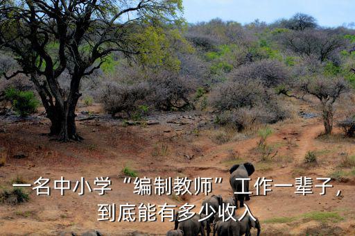 一名中小學(xué)“編制教師”工作一輩子，到底能有多少收入