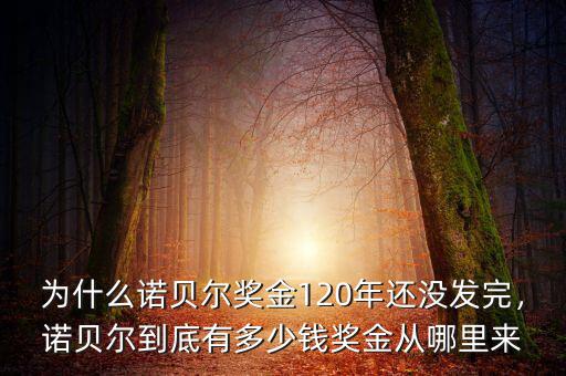 為什么諾貝爾獎(jiǎng)金120年還沒(méi)發(fā)完，諾貝爾到底有多少錢(qián)獎(jiǎng)金從哪里來(lái)