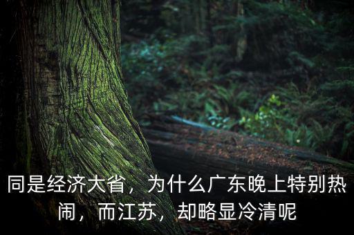 同是經(jīng)濟(jì)大省，為什么廣東晚上特別熱鬧，而江蘇，卻略顯冷清呢