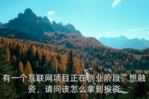 有一個(gè)互聯(lián)網(wǎng)項(xiàng)目正在創(chuàng)業(yè)階段，想融資，請(qǐng)問(wèn)該怎么拿到投資