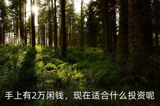 手上有2萬閑錢，現(xiàn)在適合什么投資呢