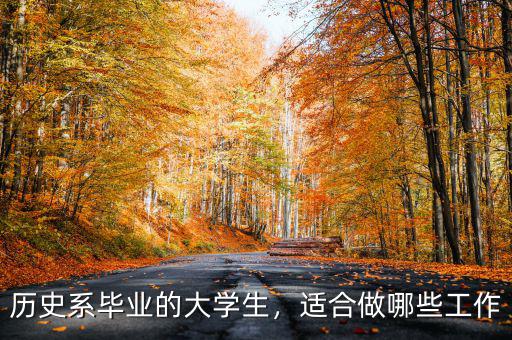 歷史系畢業(yè)的大學(xué)生，適合做哪些工作