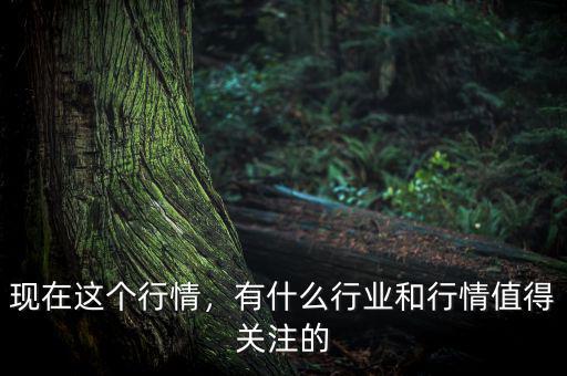 現在這個行情，有什么行業(yè)和行情值得關注的