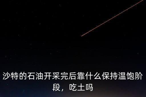 沙特的石油開(kāi)采完后靠什么保持溫飽階段，吃土嗎