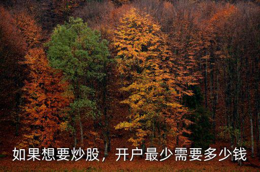 如果想要炒股，開(kāi)戶最少需要多少錢
