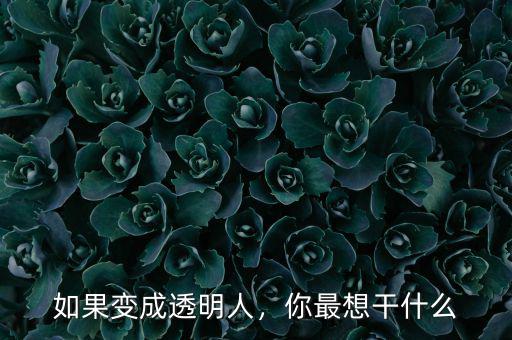 如果變成透明人，你最想干什么