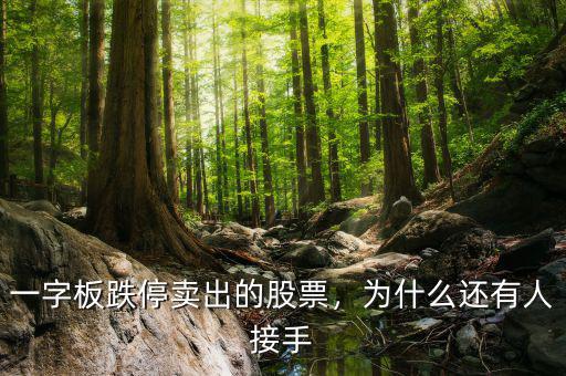 一字板跌停賣出的股票，為什么還有人接手