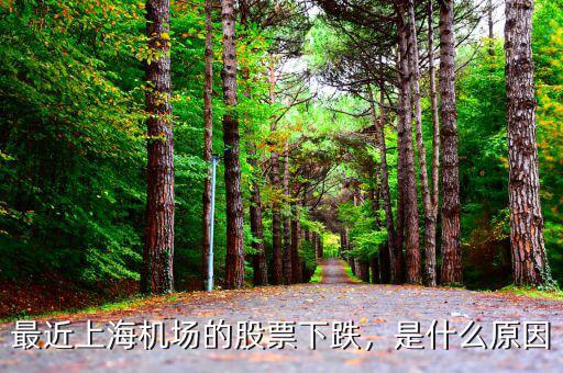 最近上海機(jī)場的股票下跌，是什么原因