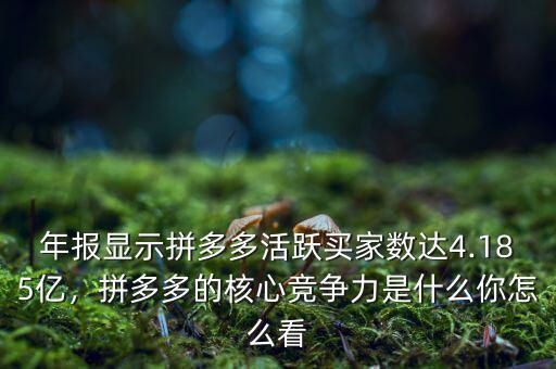年報顯示拼多多活躍買家數(shù)達(dá)4.185億，拼多多的核心競爭力是什么你怎么看