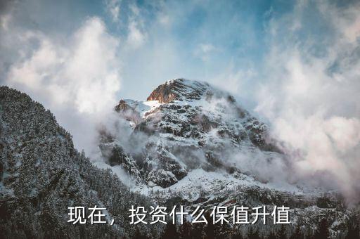 現(xiàn)在，投資什么保值升值