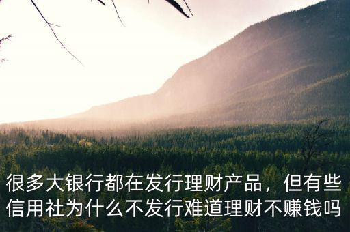 很多大銀行都在發(fā)行理財產(chǎn)品，但有些信用社為什么不發(fā)行難道理財不賺錢嗎