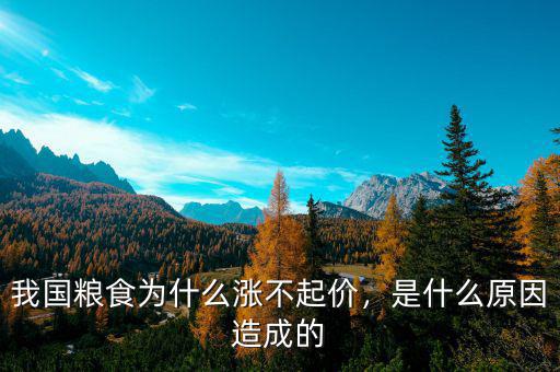 我國(guó)糧食為什么漲不起價(jià)，是什么原因造成的