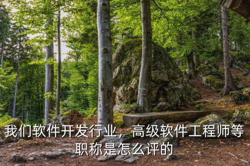 我們軟件開發(fā)行業(yè)，高級軟件工程師等職稱是怎么評的