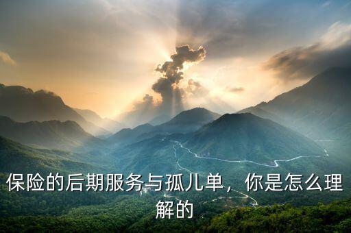 保險(xiǎn)的后期服務(wù)與孤兒?jiǎn)?，你是怎么理解? class=