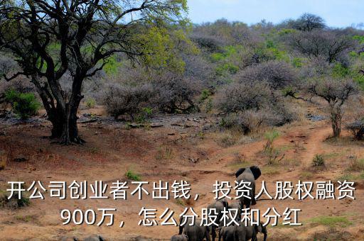 開(kāi)公司創(chuàng)業(yè)者不出錢(qián)，投資人股權(quán)融資900萬(wàn)，怎么分股權(quán)和分紅