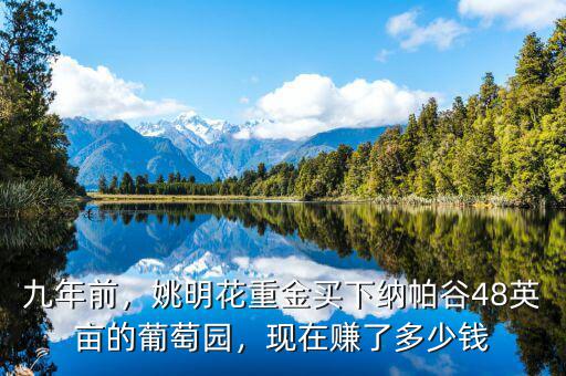 九年前，姚明花重金買下納帕谷48英畝的葡萄園，現(xiàn)在賺了多少錢