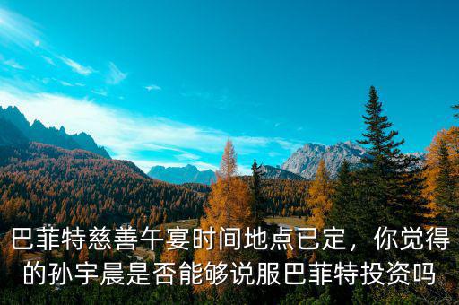 巴菲特慈善午宴時(shí)間地點(diǎn)已定，你覺(jué)得的孫宇晨是否能夠說(shuō)服巴菲特投資嗎