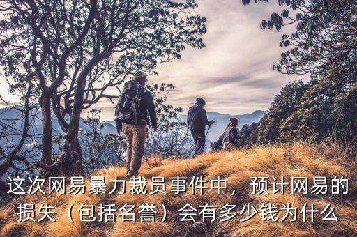 這次網(wǎng)易暴力裁員事件中，預(yù)計(jì)網(wǎng)易的損失（包括名譽(yù)）會(huì)有多少錢為什么