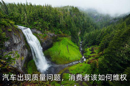 汽車出現質量問題，消費者該如何維權