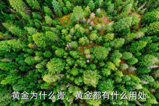 黃金為什么貴，黃金都有什么用處