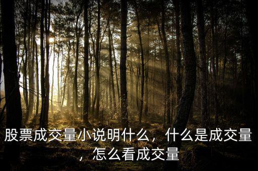 股票成交量小說明什么，什么是成交量，怎么看成交量