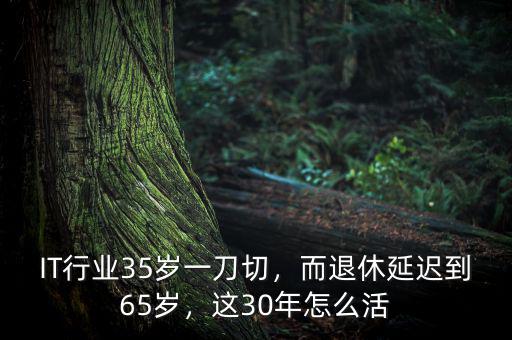 IT行業(yè)35歲一刀切，而退休延遲到65歲，這30年怎么活