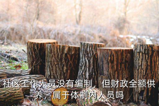 社區(qū)工作人員沒有編制，但財政全額供養(yǎng)，屬于體制內(nèi)人員嗎