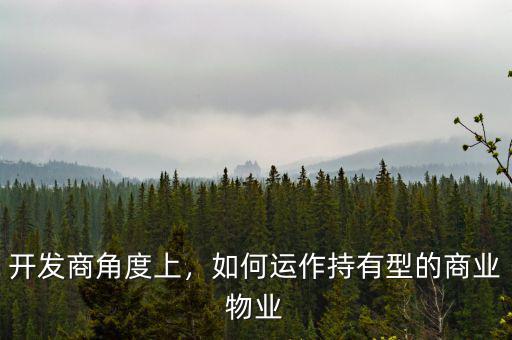 開(kāi)發(fā)商角度上，如何運(yùn)作持有型的商業(yè)物業(yè)