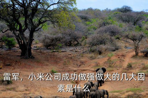 雷軍，小米公司成功做強(qiáng)做大的幾大因素是什么