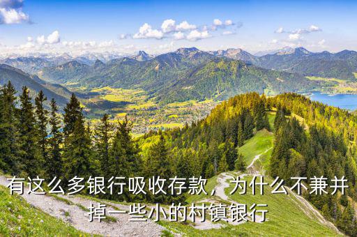 有這么多銀行吸收存款，為什么不兼并掉一些小的村鎮(zhèn)銀行