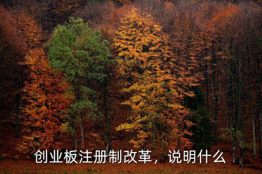 創(chuàng)業(yè)板注冊制改革，說明什么