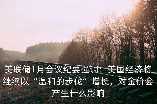 美聯(lián)儲1月會議紀(jì)要強(qiáng)調(diào)：美國經(jīng)濟(jì)將繼續(xù)以“溫和的步伐”增長，對金價會產(chǎn)生什么影響