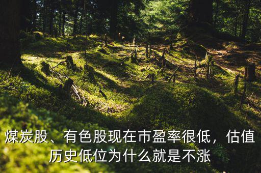 煤炭股、有色股現(xiàn)在市盈率很低，估值歷史低位為什么就是不漲