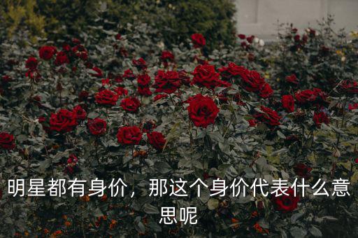 明星都有身價(jià)，那這個(gè)身價(jià)代表什么意思呢