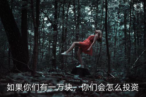 如果你們有一萬塊，你們會怎么投資
