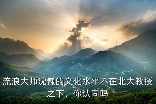 流浪大師沈巍的文化水平不在北大教授之下，你認(rèn)同嗎