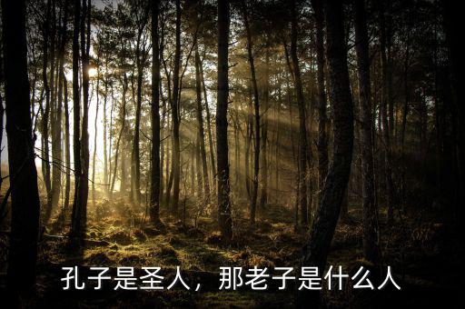 孔子是圣人，那老子是什么人