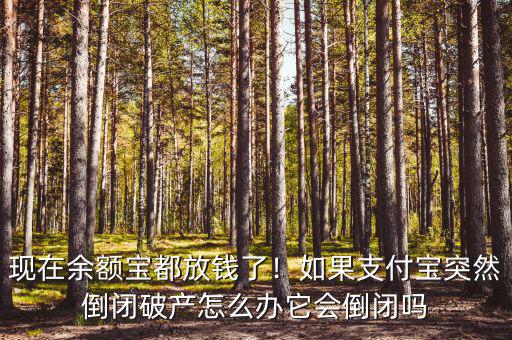現(xiàn)在余額寶都放錢了！如果支付寶突然倒閉破產怎么辦它會倒閉嗎