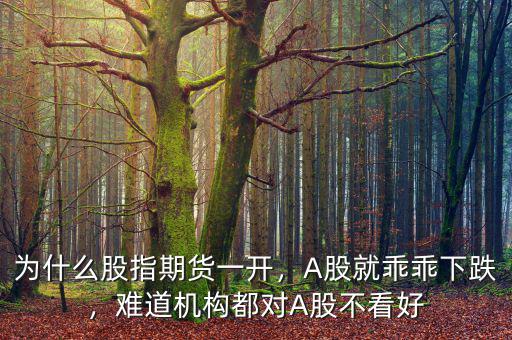 為什么股指期貨一開，A股就乖乖下跌，難道機(jī)構(gòu)都對(duì)A股不看好