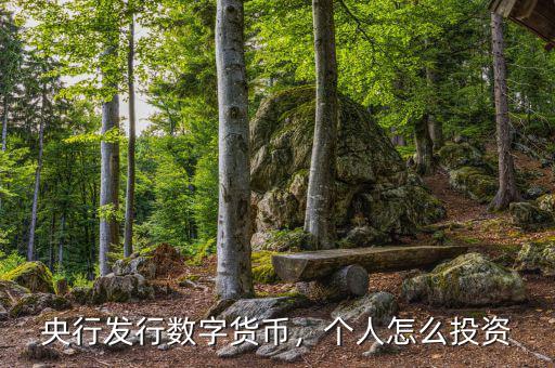 央行發(fā)行數(shù)字貨幣，個(gè)人怎么投資