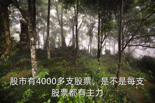 股市有4000多支股票，是不是每支股票都有主力