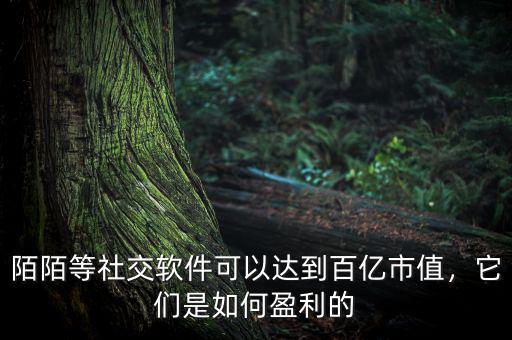 陌陌等社交軟件可以達到百億市值，它們是如何盈利的