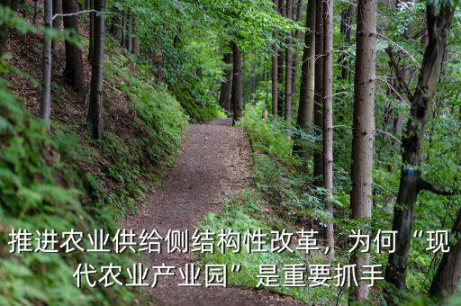 推進(jìn)農(nóng)業(yè)供給側(cè)結(jié)構(gòu)性改革，為何“現(xiàn)代農(nóng)業(yè)產(chǎn)業(yè)園”是重要抓手