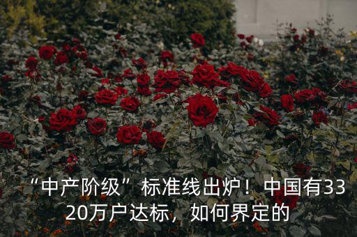 “中產(chǎn)階級(jí)”標(biāo)準(zhǔn)線出爐！中國(guó)有3320萬(wàn)戶達(dá)標(biāo)，如何界定的