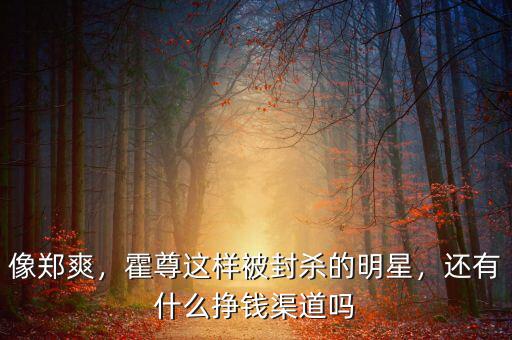 像鄭爽，霍尊這樣被封殺的明星，還有什么掙錢渠道嗎