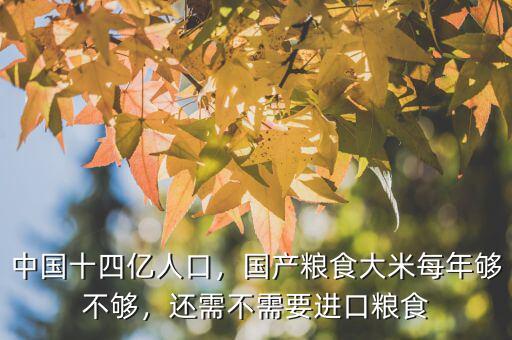 中國十四億人口，國產(chǎn)糧食大米每年夠不夠，還需不需要進(jìn)口糧食