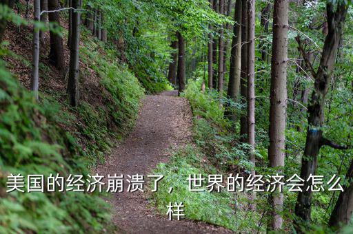 美國(guó)的經(jīng)濟(jì)崩潰了，世界的經(jīng)濟(jì)會(huì)怎么樣