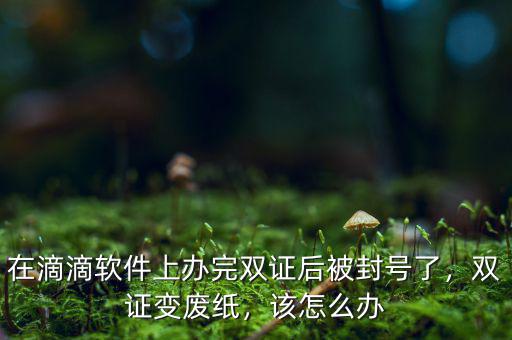 在滴滴軟件上辦完雙證后被封號(hào)了，雙證變廢紙，該怎么辦