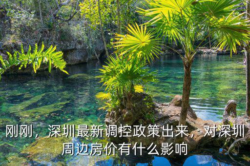 剛剛，深圳最新調(diào)控政策出來(lái)，對(duì)深圳周邊房?jī)r(jià)有什么影響