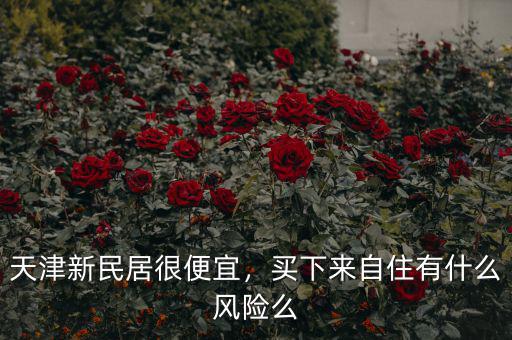 天津新民居很便宜，買下來自住有什么風(fēng)險(xiǎn)么